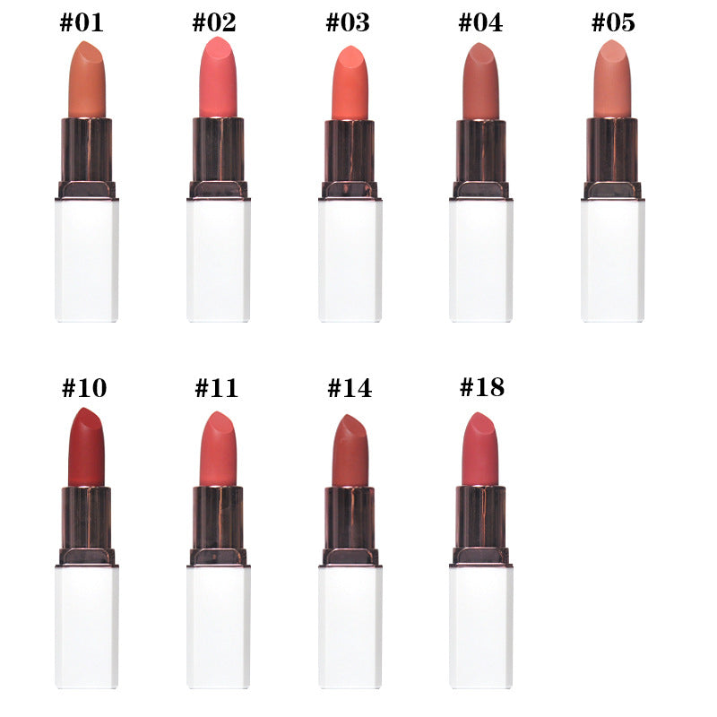 OEM Matte Lipstick Cream Private Logo