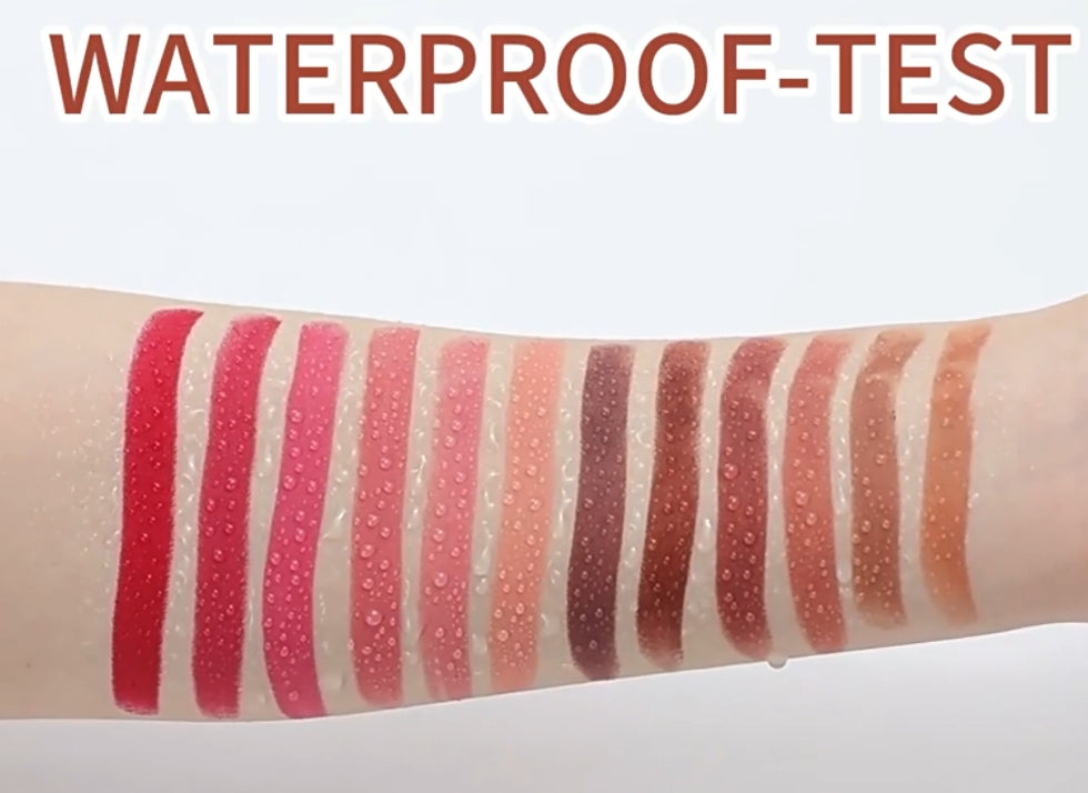 Waterproof Matte Lipstick OEM
