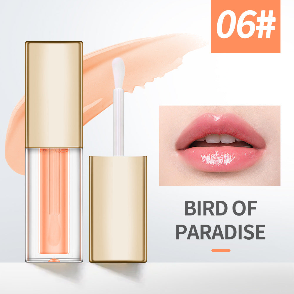 Lip Oil OEM