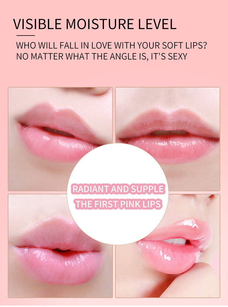 Lip Balm Private Logo