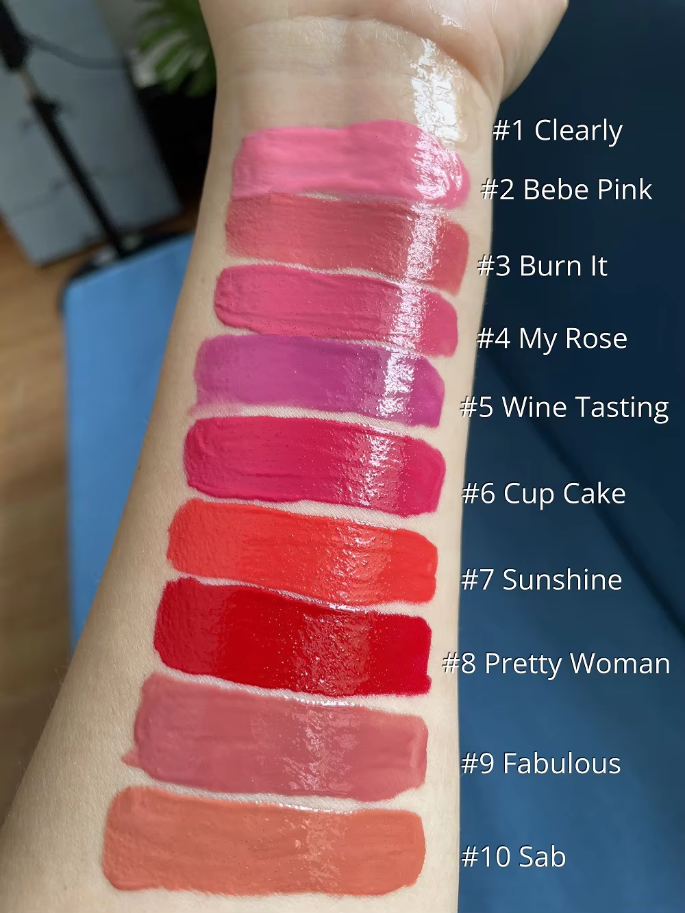 Plumping Lip Gloss OEM