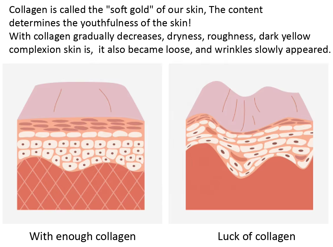 Transparent Collagen Facial Mask OEM